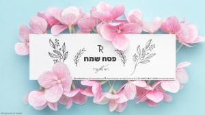 רועי צחי