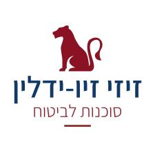 זיזי זיו ידלין