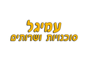 עמיגל סוכנויות ושרותים בע"מ