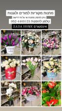 ZADA HOME