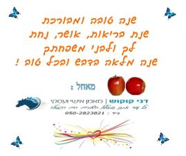 דני קוקוש YourCoach