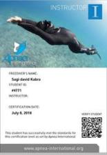 Sagi Freedive