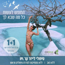 גודייבה כהן שולה  מנוהל