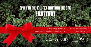 איתי גינות חמד אורבניות