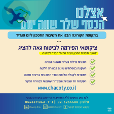 צ'קוטאי ששון סוכנות לביטוח חיים כללי