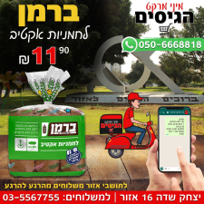 מינימרקט הגיסים