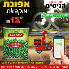 מינימרקט הגיסים