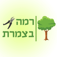 רמה בצמרת  מנוהל