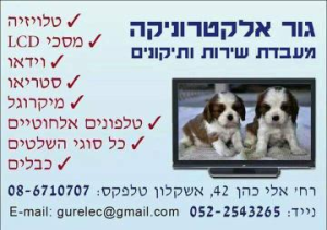 גור אלקטרוניקה GurElec  מנוהל