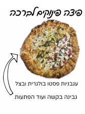 לויסתר פיצה  מנוהל