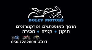 Dolev Motors