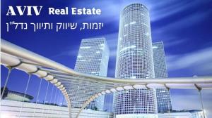 Aviv Real Estate