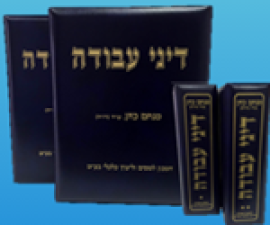 המכון למיסים וליעוץ כלכלי