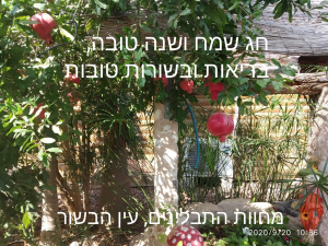 חוות התבלינים