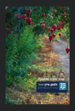 זלצמן דברת