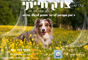 צדק חייתי