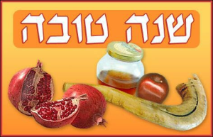 מוניות PLR פלר מוניות שרותים והשכרת מוניות