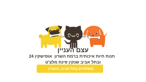 עצם העניין