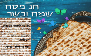 עו"ד לילך אקרמן