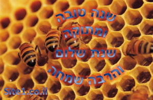 א.א. בניית אתרים