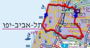 עמי אשרמן