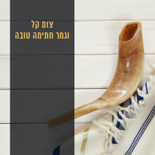 י ביבי ייבוא ושיווק