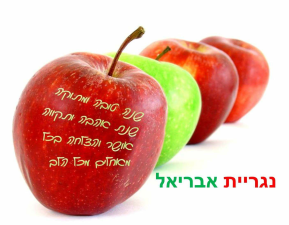 נגריית אבריאל