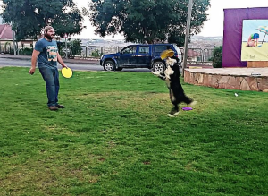 הב לי אילוף כלבים וכלבנות טיפולית