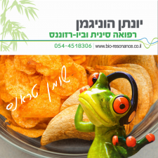 יונתן הוניגמן