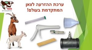 אשל שירותים וטרינרים