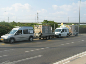 מז מרווין ירושלים