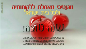 מגנטיבי מגנטים לארועים