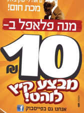 פלאפל הרצל