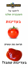 בארנק שיווק דיגיטלי