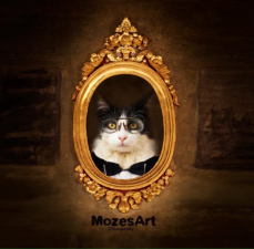 Studio Mozesart