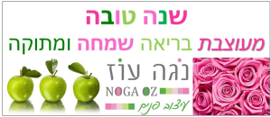 נגה עוז עיצוב פנים