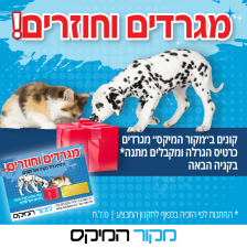 מקור המיקס