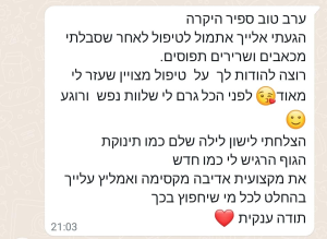 ספיר לזרוביץ