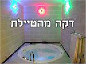 סויטות תמר