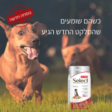 מאפט