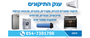 ענק התיקונים