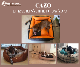 Pets & more TLV