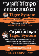 טייגר סיסטם Tiger System