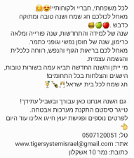 טייגר סיסטם Tiger System