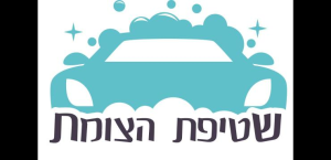 שטיפת הצומת