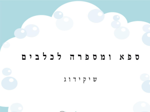 שיקידוג