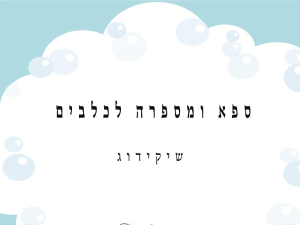 שיקידוג