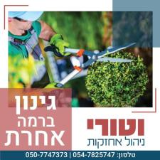 וטורי ניהול אחזקות