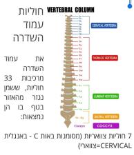 לארה תרפי מסאג'