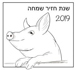 רז רפואה סינית קלאסית